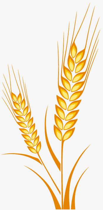 從金黃麥浪到數(shù)字界面 軟件設(shè)計制作的豐收之旅